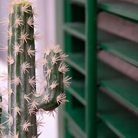 아파트 La Maison A La Cathedral 팔레르모