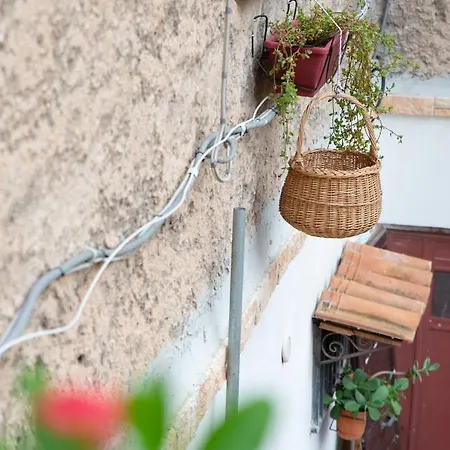 La Maison A La Cathedral * 팔레르모