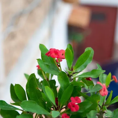 La Maison A La Cathedral * 팔레르모