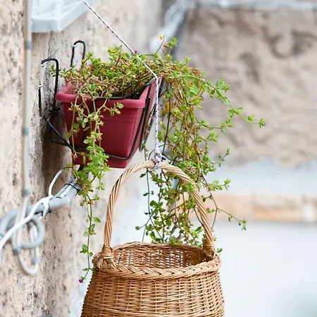 La Maison A La Cathedral 팔레르모